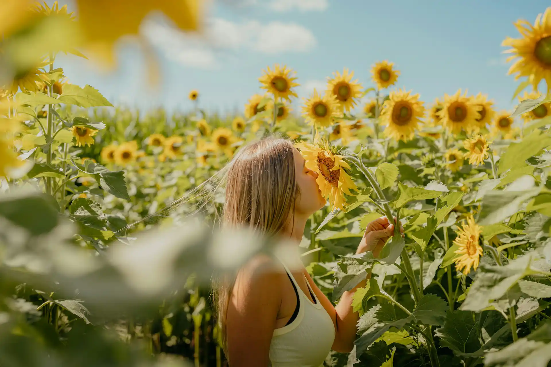 Frau steht glücklich im Sonnenblumenfeld